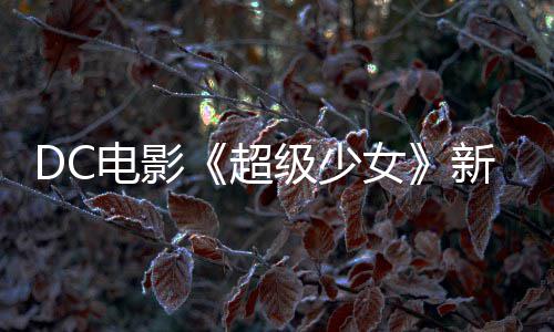 新预女告 狗大杀四电影又是一只为了超方级少